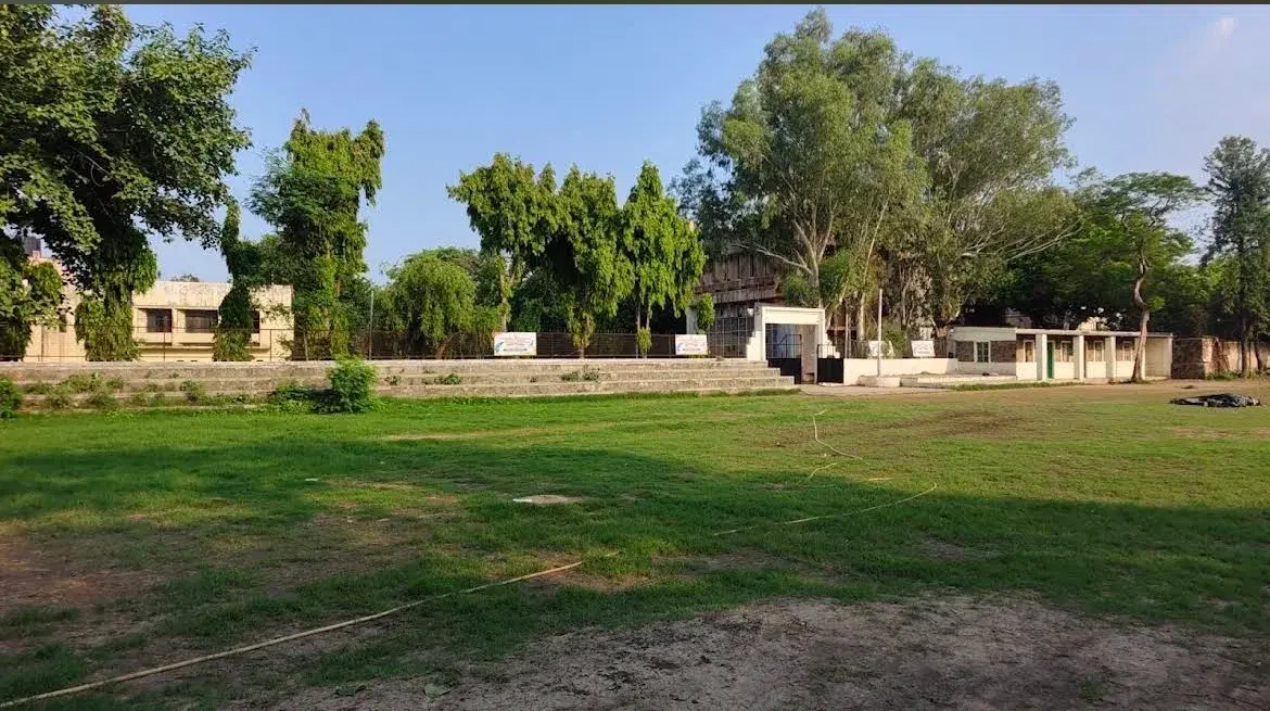 Cricomania International Cricket Academy - Image 1