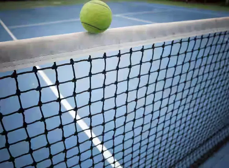 Apj Badminton Court - Image 1