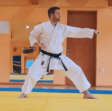 Global Karate Academy - Image 1