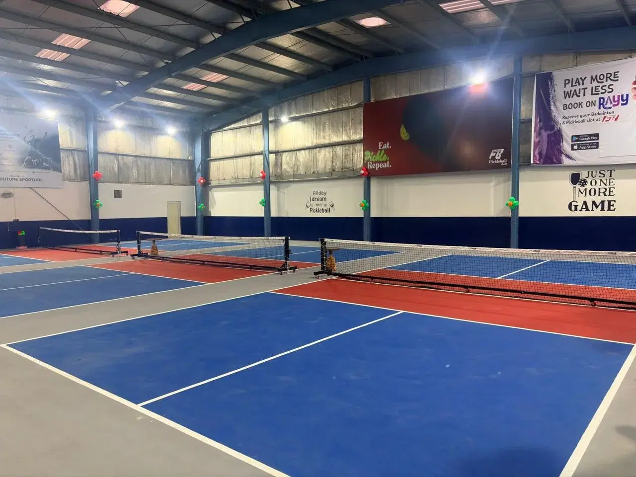 Fit Baddy Indoor Pickleball - Image 9